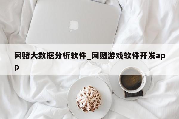 网赌大数据分析软件_网赌游戏软件开发app